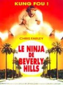 Le Ninja de Beverly Hills  (Beverly Hills Ninja)