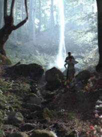 Les Secrets de la forêt noire (TV)  (Black Forest)