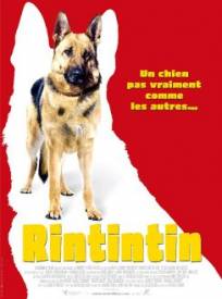 Rintintin  (Finding Rin Tin Tin)