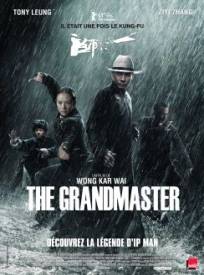 The Grandmaster  (Yut doi jung si)