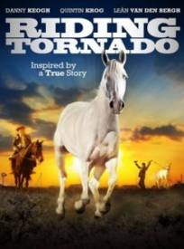 Tornado and the Kalahari Horse Whisperer